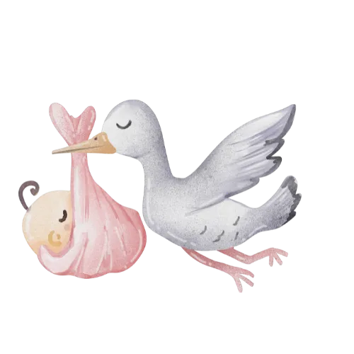 Cigogne transportant un bebe dans un baluchon rose - Les Créations des A